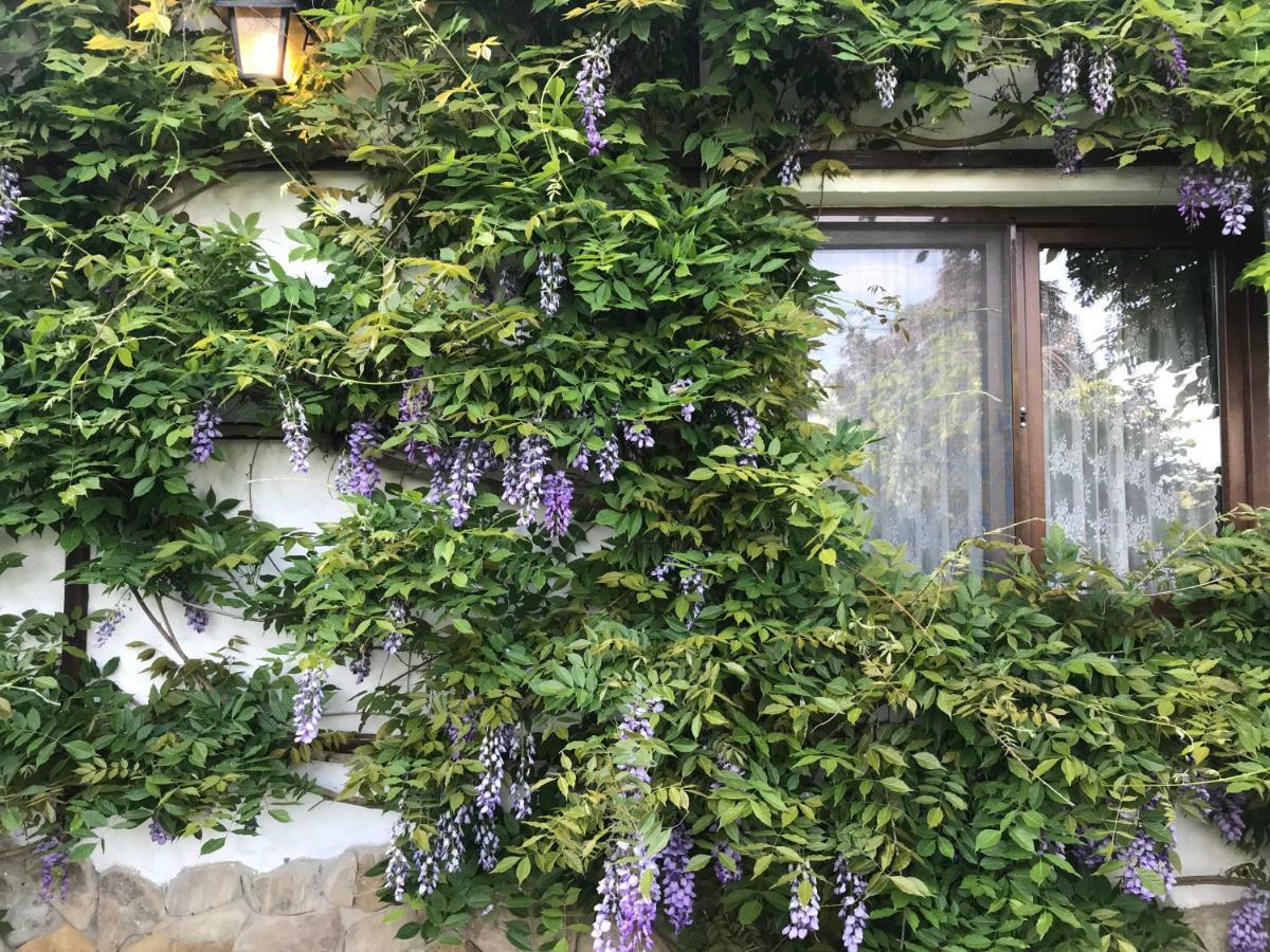 Casa Cu Suflet Hotel Sighişoara Exterior foto